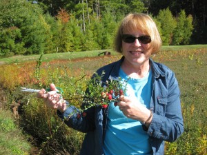 Amil's Inn guest, Paula, enjoying Wetherby Cranberry marsh to snip some cranberry vines for room decorations