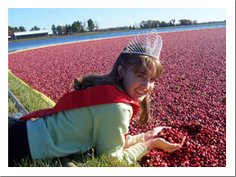 Cranberries are a major draw of the area.