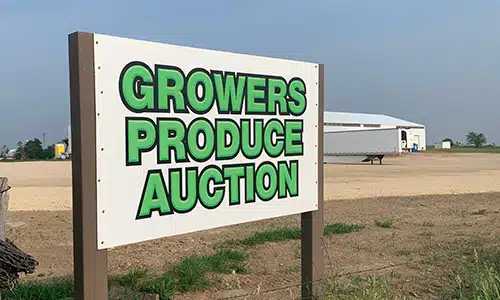 Growers produce auction